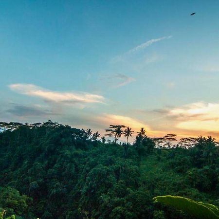 Panorama 4Br Villa Exclusive Presidential Zn58 Ubud Exterior foto